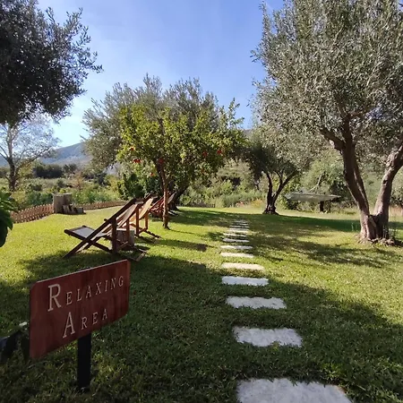 Kykeon Studios Katelios