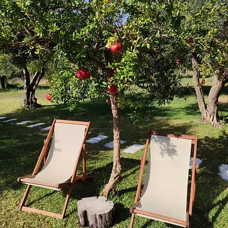 Kykeon Studios Katelios