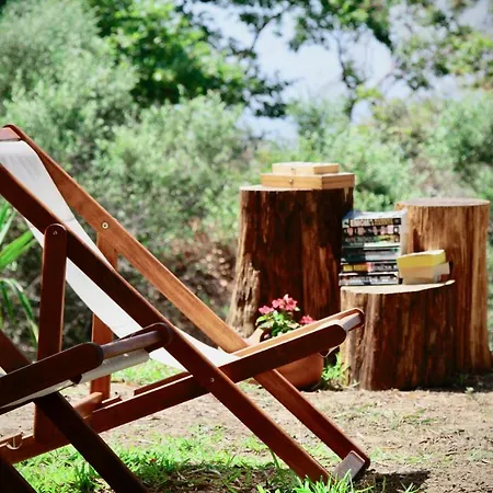 Kykeon Studios * Katelios